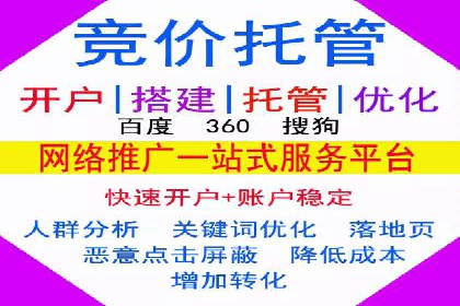 竞价排名成功案例分享